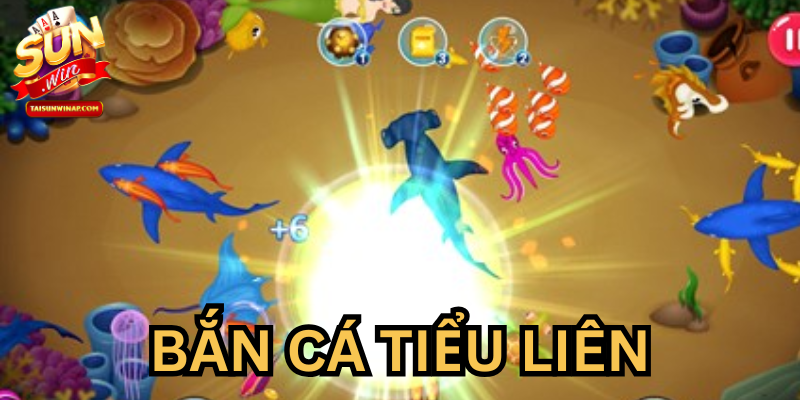 Tiêu chí đánh giá